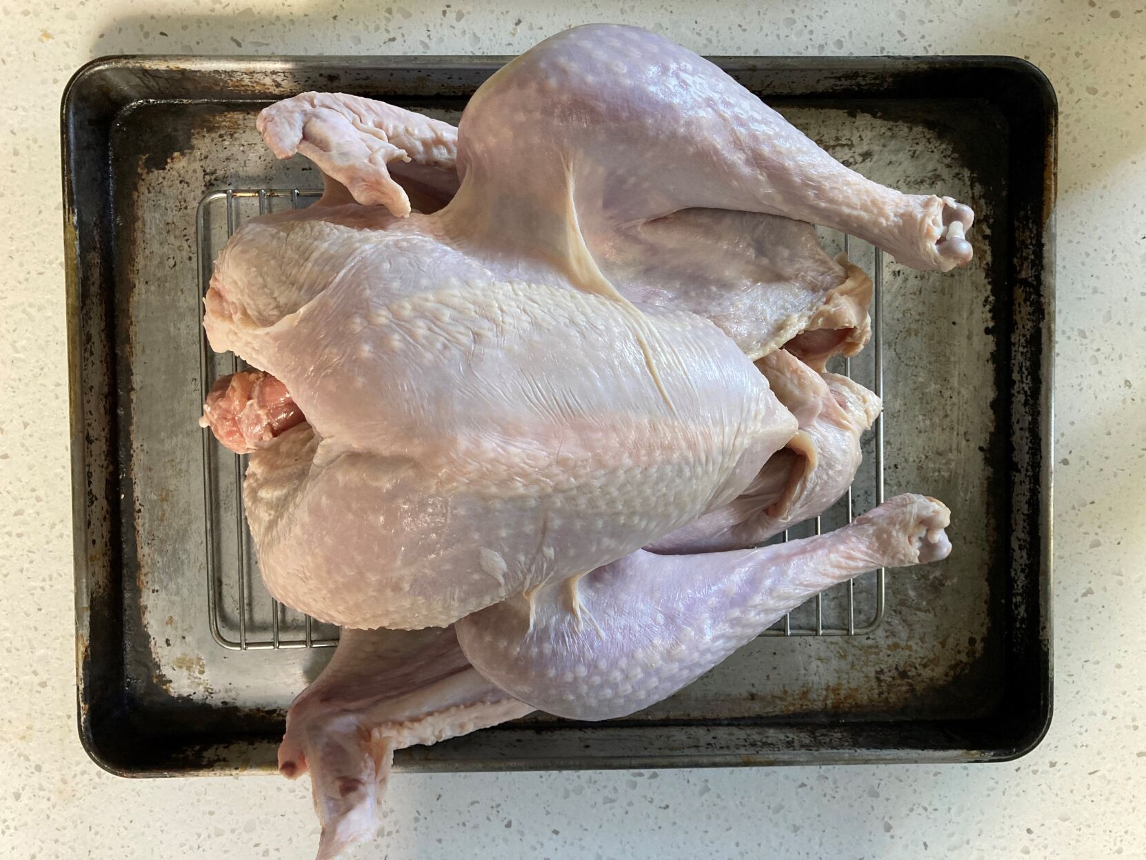 Turkey raw